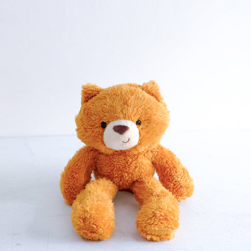 Ginger Cat Cuddly