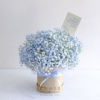 Whisper of Hope (Blue Gypsophila Affirmation Arrangement)