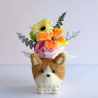 Floral Pup (Orange Tulip and Gerbera Arrangement)