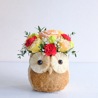 Woodland Garden (Peach Ecuadorian Rose Arrangement)