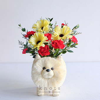 Pawsy Petals (White Gerbera Arrangement)