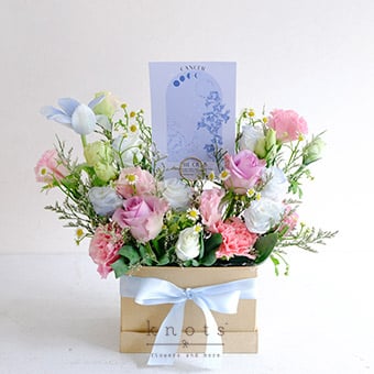 Ocean Soul Cancer (Purple Roses Arrangement)