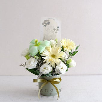 Rue Capricorn (White Tulips and Gerbera Vase Arrangement)