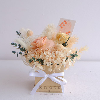 Aria Gemini (Dried and Preserved Arrangement)
