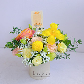 Daya Leo (Ecuadorian Rose and Tulips Arrangement)