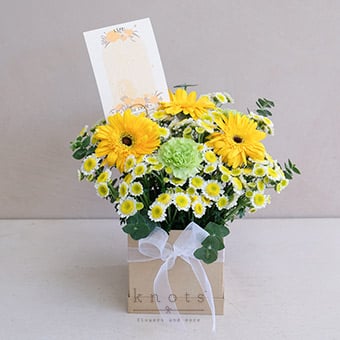 Bathe In Sunshine Leo (Yellow Gerberas, And Green Carnations Arrangement)