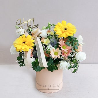 Parsley (Yellow Gerbera Arrangement)