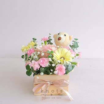 Beary Special Day (Light Pink Ecuadorian Rose and White Gerbera Birthday Arrangement)