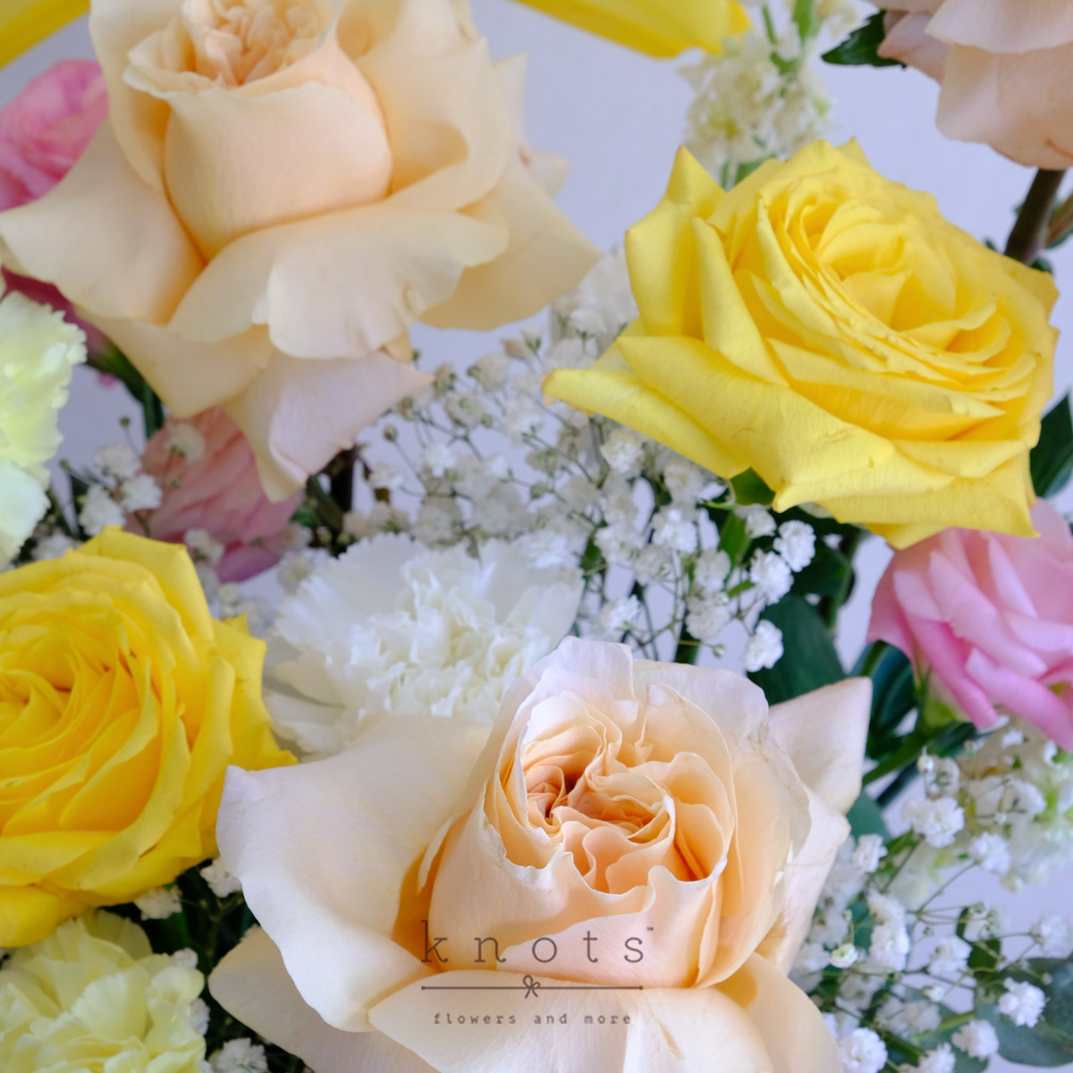 BDAR2609C_1200