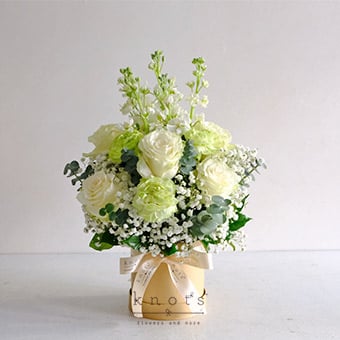 Timeless Ivory (White Ecuadorian Roses Arrangement)