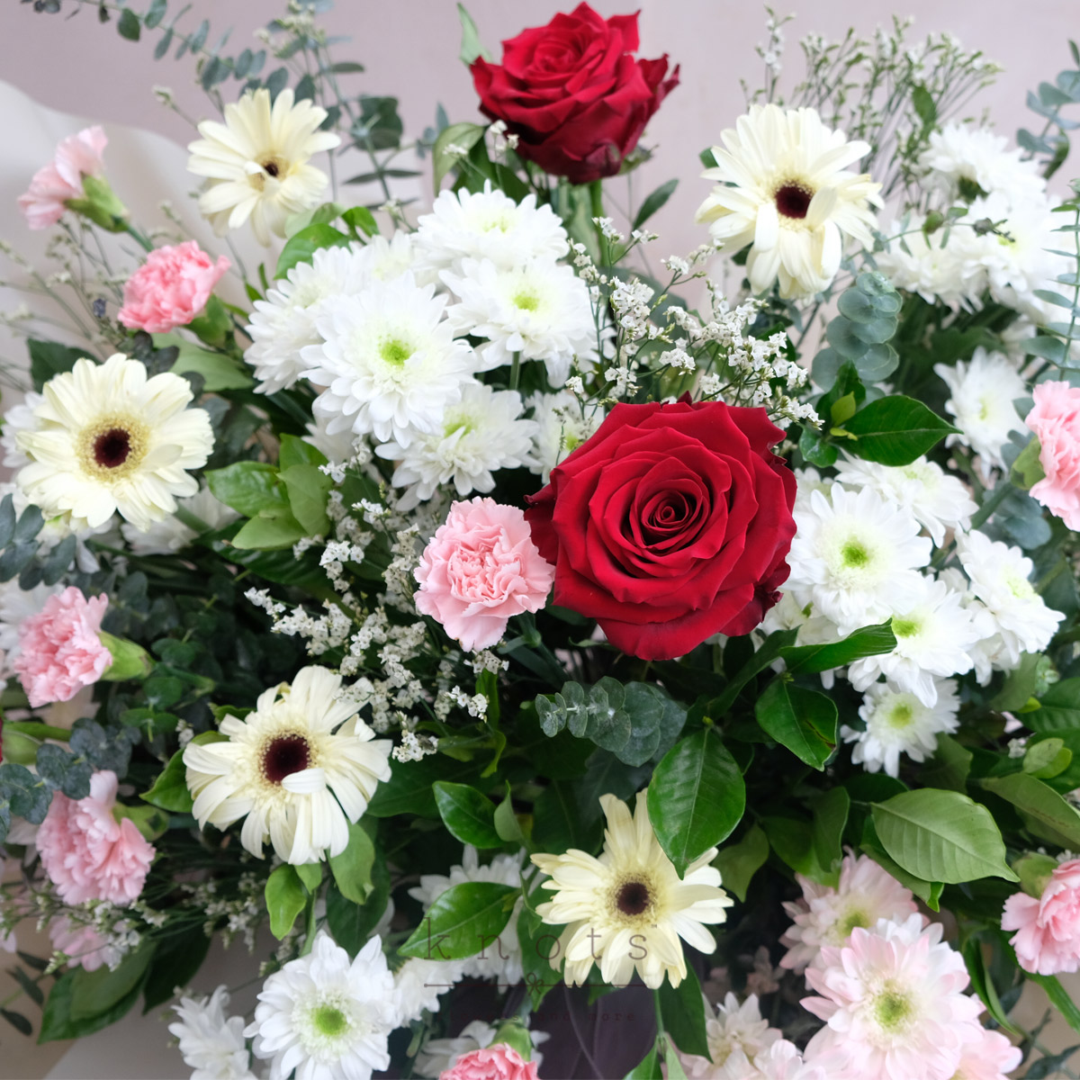 SC2304A_1200