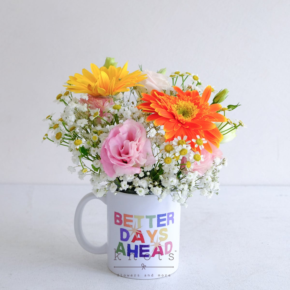 Better Blooms Ahead (Gerbera Arrangement)