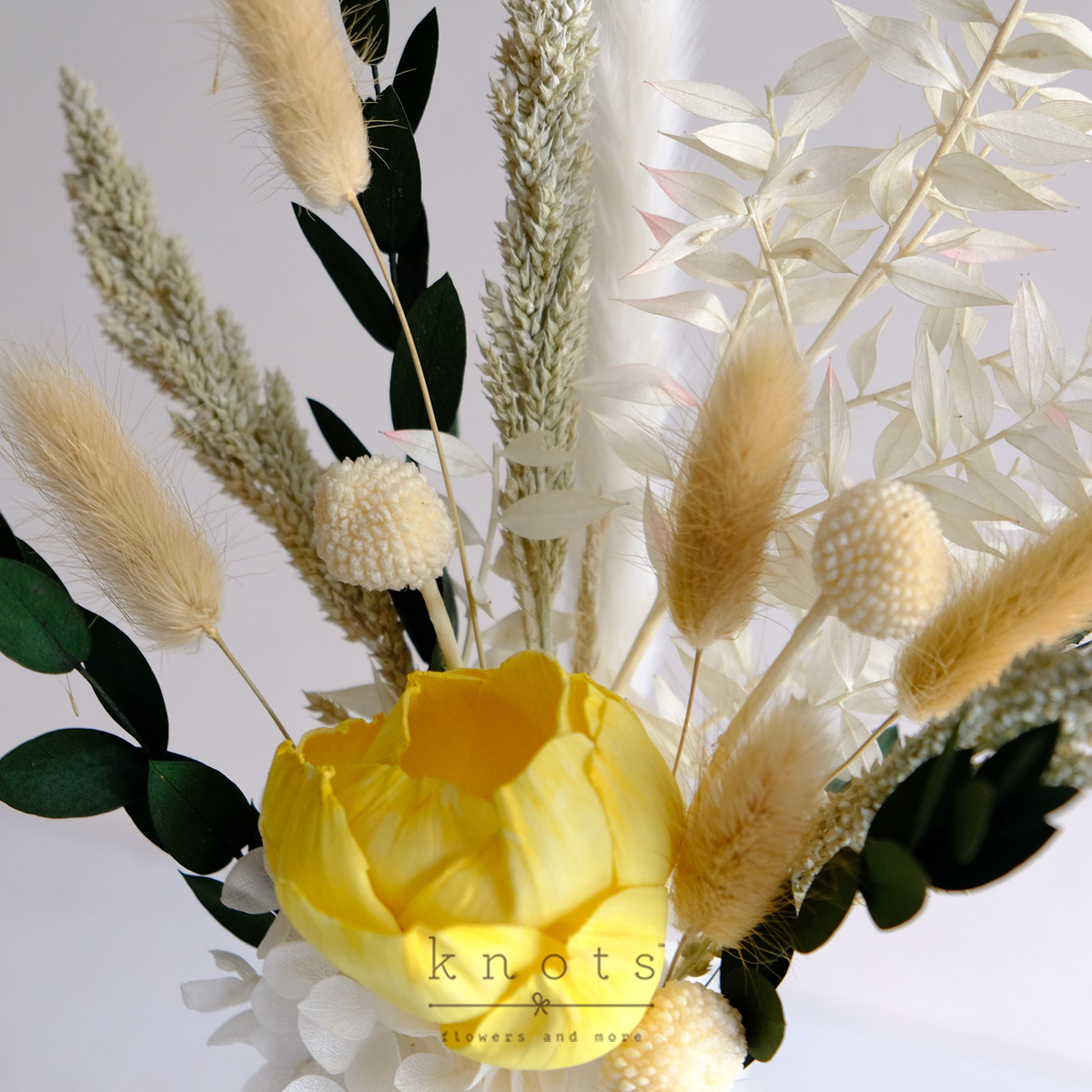 DPAR2606B_1200