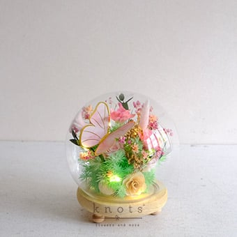 Petal Prism (Preserved and Dried Dome Flower Arrangement)