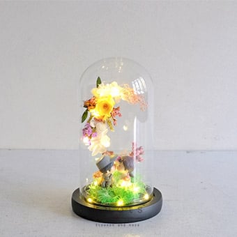 Ever Garden (Preserved/ Dried Dome Arrangement)