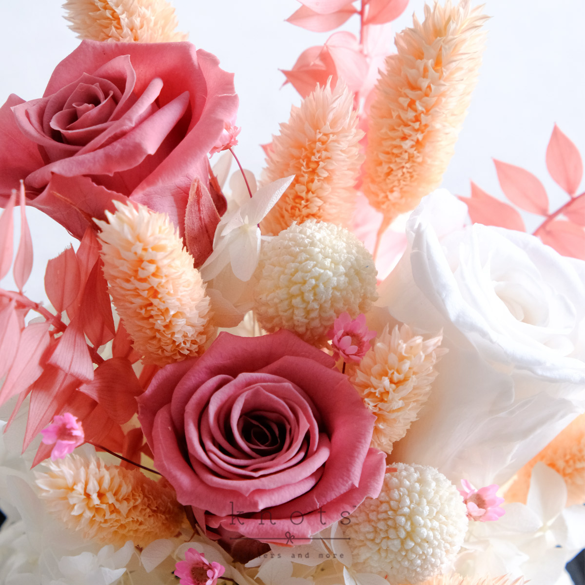 DPAR2611C_1200