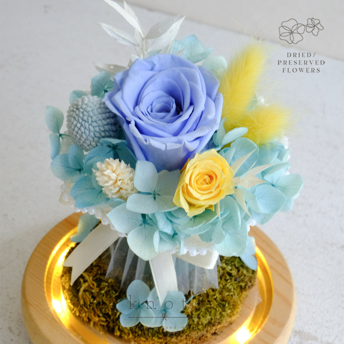 DPAR2617B_1200