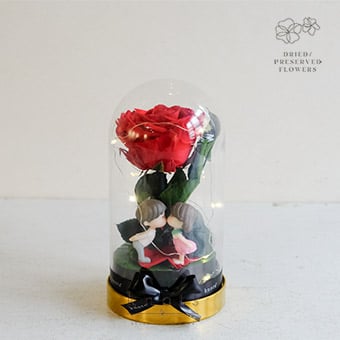 A Timeless Tale (Preserved Rose Dome Arrangement)