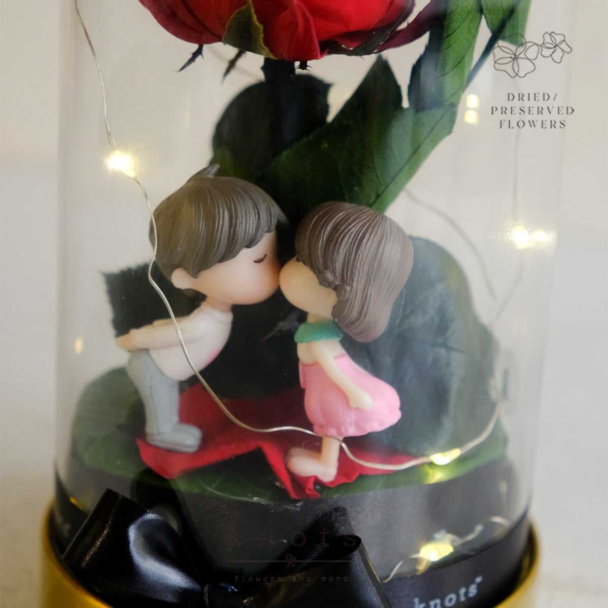 DPAR2618B_1200