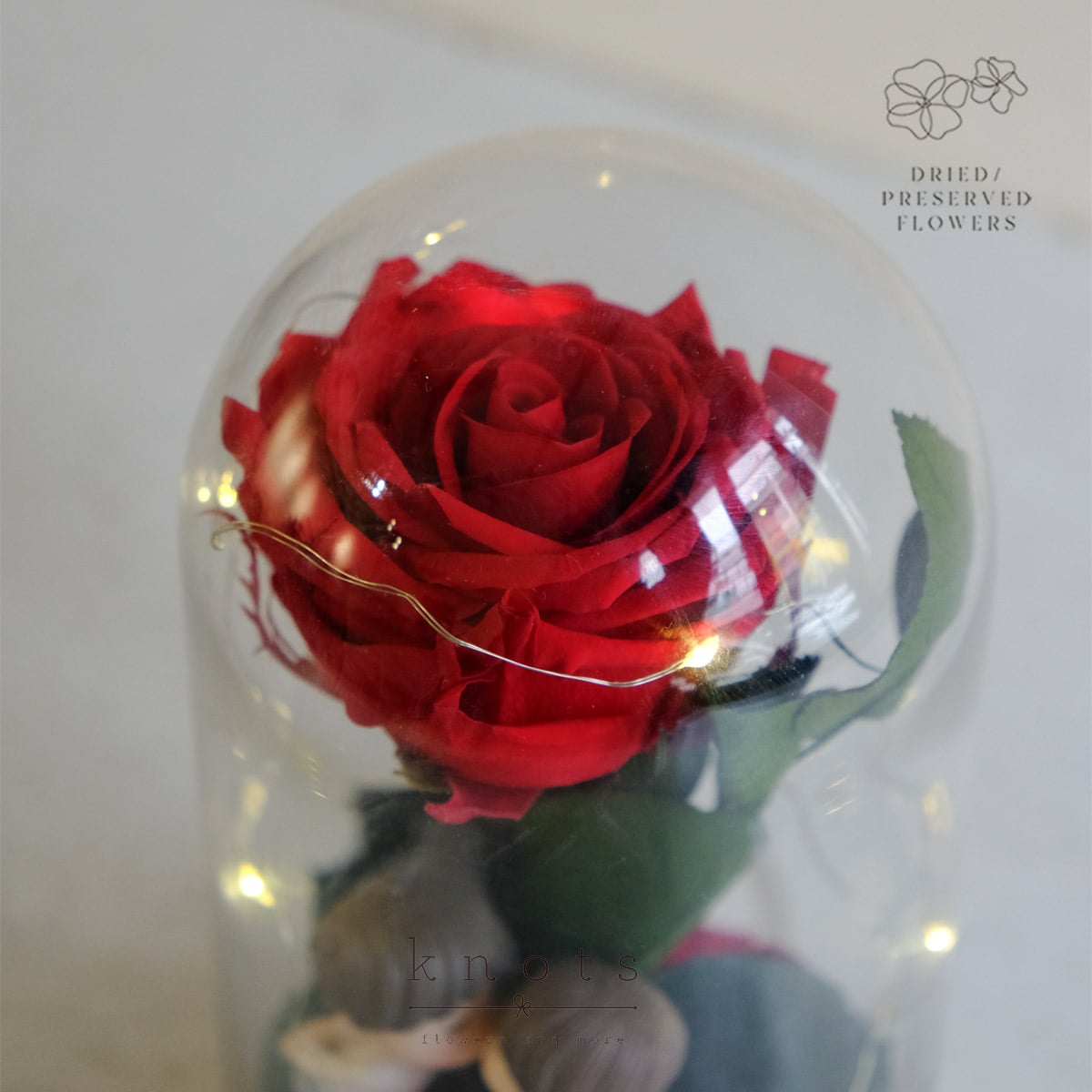 DPAR2618C_1200