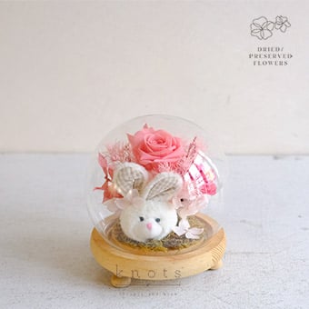 Rosy Hop (Preserved and Dried Flower Dome Arrangement)