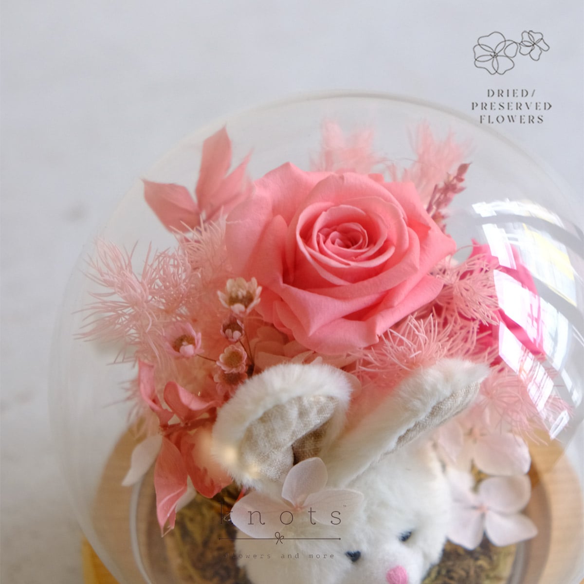 DPAR2619B_1200