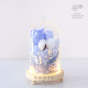 Infinite Dream (Preserved and Dried Dome Flower Arrangement)
