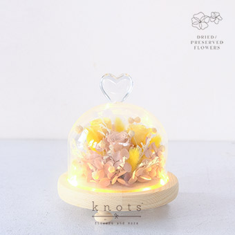 Eternal Rise (Preserved and Dried Flower Dome Arrangement)
