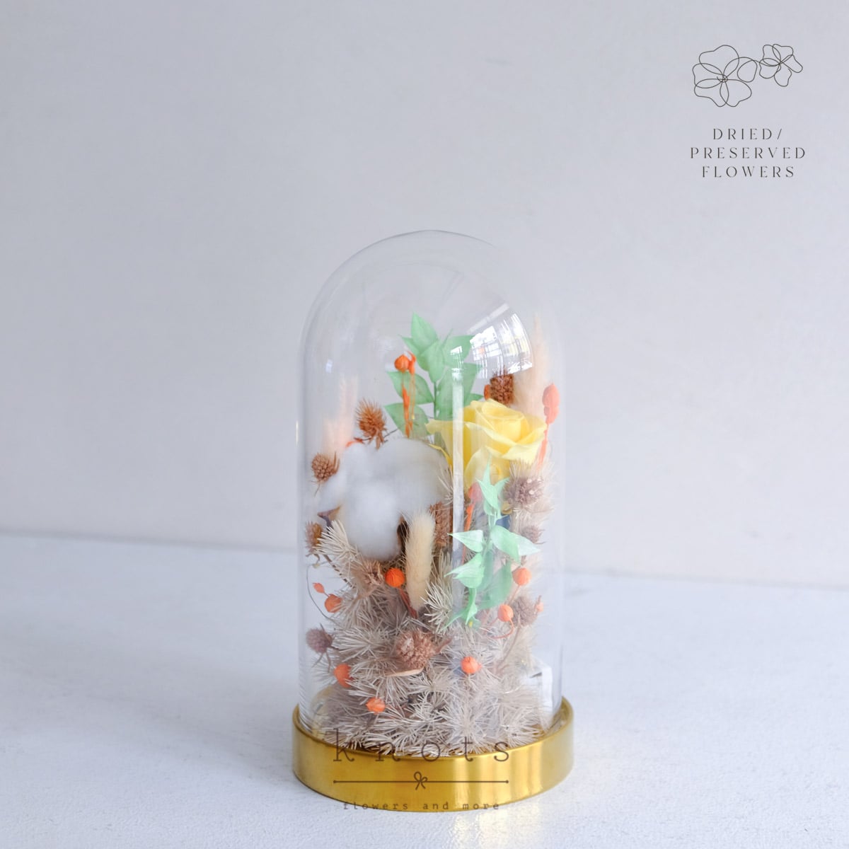 DPAR2514A_1200