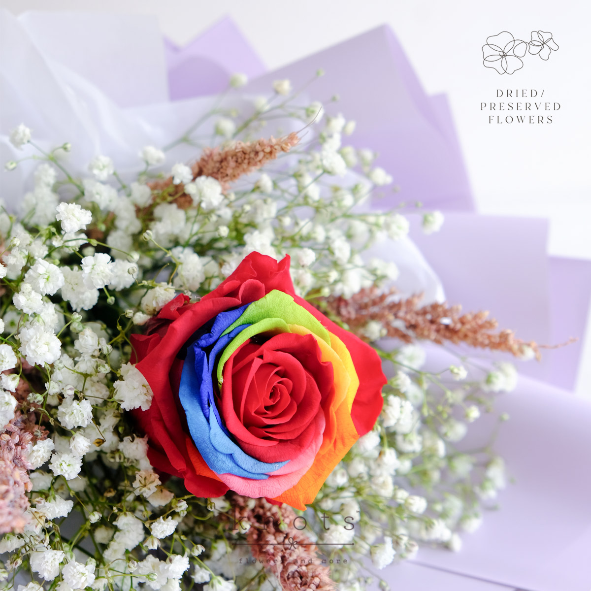 PDBQ2513B_1200