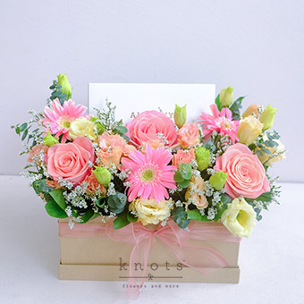 Wondrous Wishes (Flowers & Macarons)