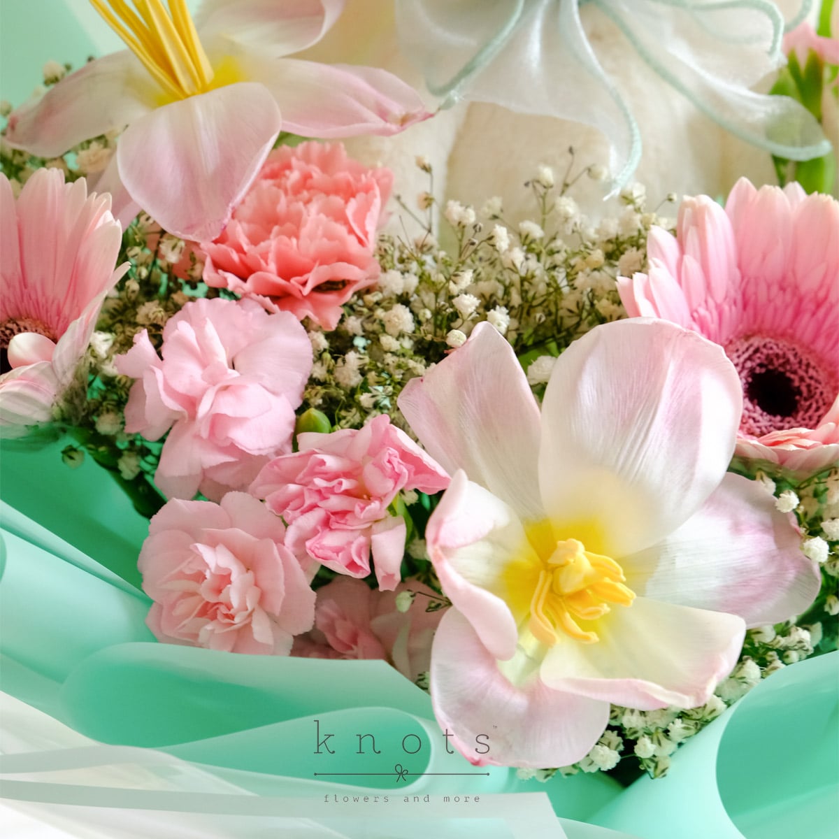 FGCD2662A_1200