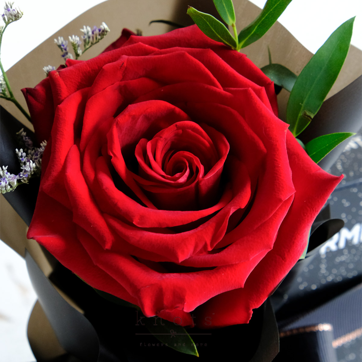 FGPF2655C_1200