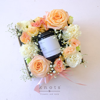 Sweetness and Light (Pink Ecuadorian Rose with Candle)