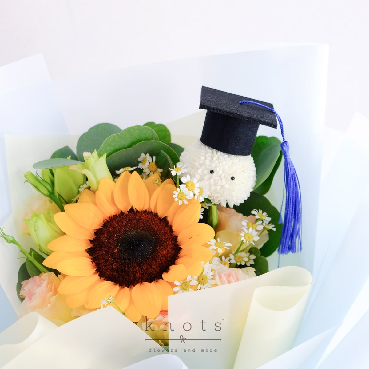 GDBQ2202A_1200