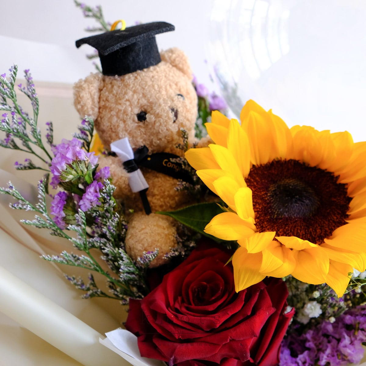 GDBQ2602B_1200
