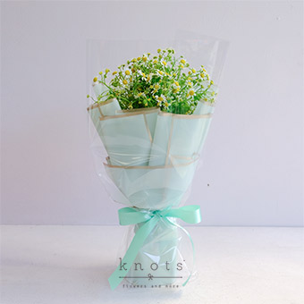 The Sprite’s Delivery (Chamomile Flowers Bouquet)