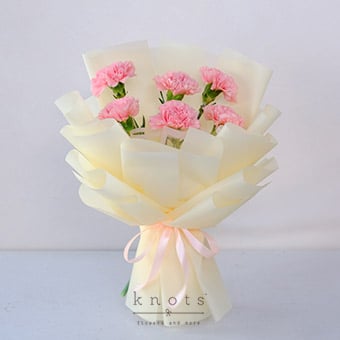 Soft Whisper (Pink Carnation Bouquet)