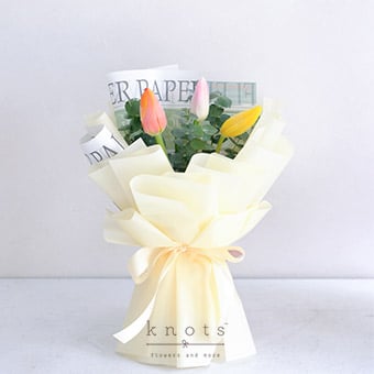 Pastel Promise (Mixed Colored Tulips Bouquet)