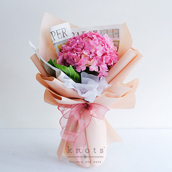 Rosetta (Pink Hydrangea Bouquet)