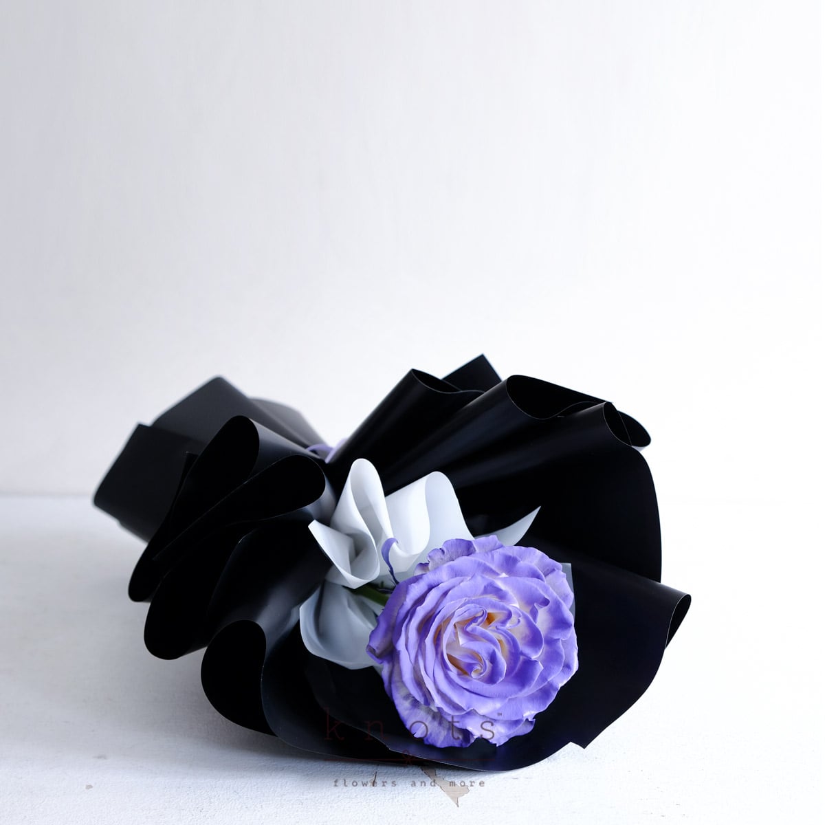 BQP2501A_1200