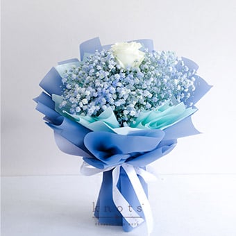 Soft Embrace (White Rose Bouquet)