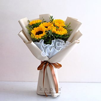BQ2538_340