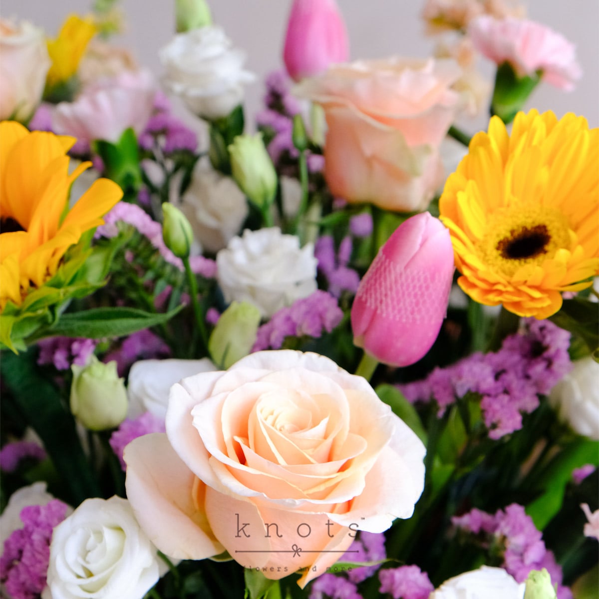 BQ2695C_1200