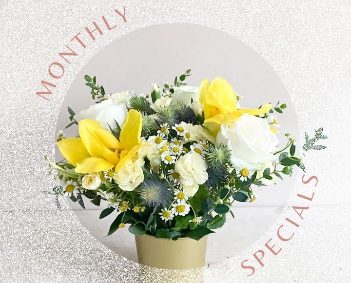 Monthly Specials