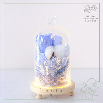 Infinite Dream (Preserved and Dried Dome Flower Arrangement)