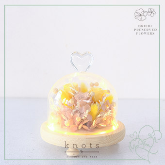 Eternal Rise (Preserved and Dried Flower Done Arrangement)