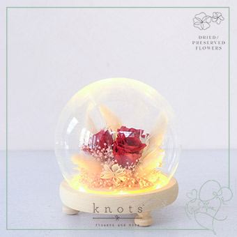 Boundless Realm (Preserved and Dried Dome Flower Arrangement)