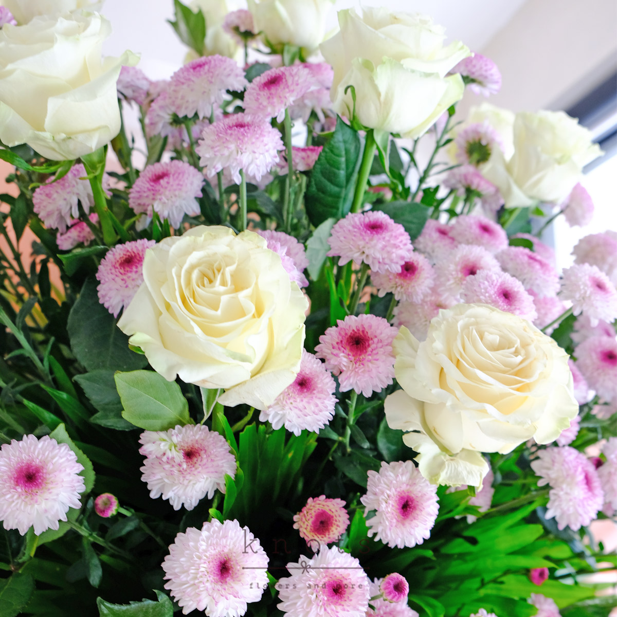 SC2401C_1200