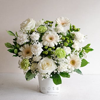 Pearl Garden (Gerbera Arrangement)